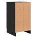 Dulap de noapte cu sertar Negru 38 x 38 x 66 cm Lemn compozit - WALTI WALTI