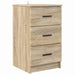 Dulap de noapte Stejar sonoma 38 x 38 x 66 cm Lemn compozit - WALTI WALTI