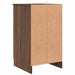 Dulap de noapte Stejar brun 38 x 38 x 66 cm Lemn compozit - WALTI WALTI