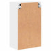 Dulap de Baie Pe perete Alb 39 x 23.5 x 65 cm Lemn compozit - WALTI WALTI