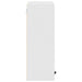 Dulap de Baie Pe perete Alb 39 x 23.5 x 65 cm Lemn compozit - WALTI WALTI