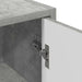 Dulap de Baie cu ușă Gri beton 39 x 23.5 x 65 cm Lemn compozit - WALTI WALTI