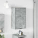 Dulap de Baie cu ușă Gri beton 39 x 23.5 x 65 cm Lemn compozit - WALTI WALTI