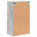 Dulap de Baie cu ușă Gri beton 39 x 23.5 x 65 cm Lemn compozit - WALTI WALTI