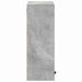 Dulap de Baie cu ușă Gri beton 39 x 23.5 x 65 cm Lemn compozit - WALTI WALTI
