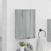Dulap de Baie cu ușă sonoma gri 39 x 23.5 x 65 cm Lemn compozit - WALTI WALTI