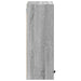 Dulap de Baie cu ușă sonoma gri 39 x 23.5 x 65 cm Lemn compozit - WALTI WALTI