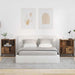 Mese de noptieră 2 pcs Lemn vechi 49 x 36 x 61 cm Lemn compozit - WALTI WALTI