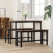 Bancă de Dining 2 pcs Stejar fumuriu 100 x 32,5 x 48,5 cm - WALTI WALTI