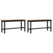 Bancă de Dining 2 pcs Stejar fumuriu 100 x 32,5 x 48,5 cm - WALTI WALTI