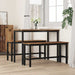 Bancă de Dining Lemn vechi 100 x 32,5 x 48,5 cm - WALTI WALTI
