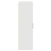 Dulap din Lemn cu depozitare Alb 50 x 29 x 100 cm Lemn compozit - WALTI WALTI