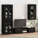 Dulap din Lemn Negru 50 x 29 x 100 cm Lemn compozit - WALTI WALTI