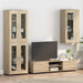 Dulap din Lemn Stejar Sonoma 50 x 29 x 100 cm Lemn compozit - WALTI WALTI