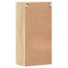 Dulap din Lemn Stejar Sonoma 50 x 29 x 100 cm Lemn compozit - WALTI WALTI