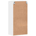 Dulap din Lemn Alb lucios 50 x 29 x 100 cm Lemn compozit - WALTI WALTI