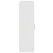 Dulap din Lemn Alb lucios 50 x 29 x 100 cm Lemn compozit - WALTI WALTI