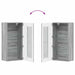 Dulap din Lemn Gri Sonoma 50 x 29 x 100 cm Lemn compozit - WALTI WALTI