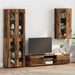 Dulap din Lemn Lemn vechi 50 x 29 x 100 cm Lemn compozit - WALTI WALTI