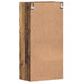 Dulap din Lemn Lemn vechi 50 x 29 x 100 cm Lemn compozit - WALTI WALTI