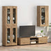 Dulap din Lemn Stejar Artizanal 50 x 29 x 100 cm Lemn compozit - WALTI WALTI