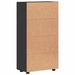 Bufet cu raft cu ușă Negru 55,5 x 29 x 103 cm Lemn compozit - WALTI WALTI