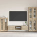 Bufet cu raft Stejar Sonoma 55,5 x 29 x 103 cm Lemn compozit - WALTI WALTI