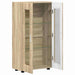 Bufet cu raft Stejar Sonoma 55,5 x 29 x 103 cm Lemn compozit - WALTI WALTI