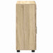 Bufet cu raft Stejar Sonoma 88,5 x 30,5 x 73 cm Lemn compozit - WALTI WALTI