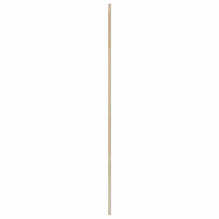 Ușă de Dulap cu ușă 4 pcs natural 170 x 2,1 x 49,5 cm - WALTI WALTI