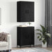 Bufet Pe perete Stejar negru 69,5 x 34 x 180 cm Lemn compozit - WALTI WALTI