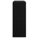 Mobilier cu Montaj pe Perete cu raft Pe perete cu depozitare cu ușă 2 pcs Stejar negru - WALTI WALTI