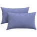 Perne pentru canapea 2 pcs Albastru Jeans 50 x 30 cm țesătură - WALTI WALTI