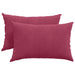 Perne pentru canapea 2 pcs Roșu Vin 60 x 40 cm - WALTI WALTI