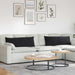 Perne pentru canapea 2 pcs Negru 120 x 40 cm - WALTI WALTI