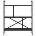 Raft pentru cărți Stejar Negru 75 x 30 x 91 cm Lemn compozit - WALTI WALTI
