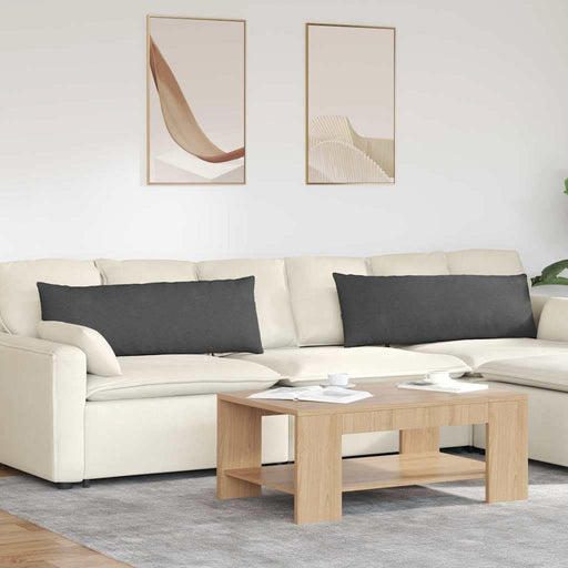 Perne pentru canapea 2 pcs Gri închis 120 x 40 cm - WALTI WALTI