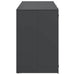 Depozitare pentru 3 pubele Wheelie 340 x 77.5 x 115.5 cm Oțel - WALTI WALTI