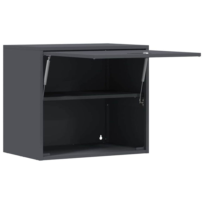 Dulap de perete pentru garaj Antracit 60 x 40 x 53 cm - WALTI WALTI
