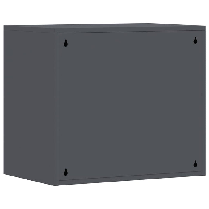 Dulap de perete pentru garaj Antracit 60 x 40 x 53 cm - WALTI WALTI