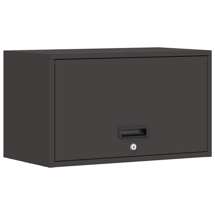 Dulap de perete pentru garaj Negru 60 x 33 x 35 cm - WALTI WALTI
