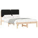 Cadru de pat cu tăblie tapițată cu headboard Negru 120 x 190 cm - WALTI WALTI