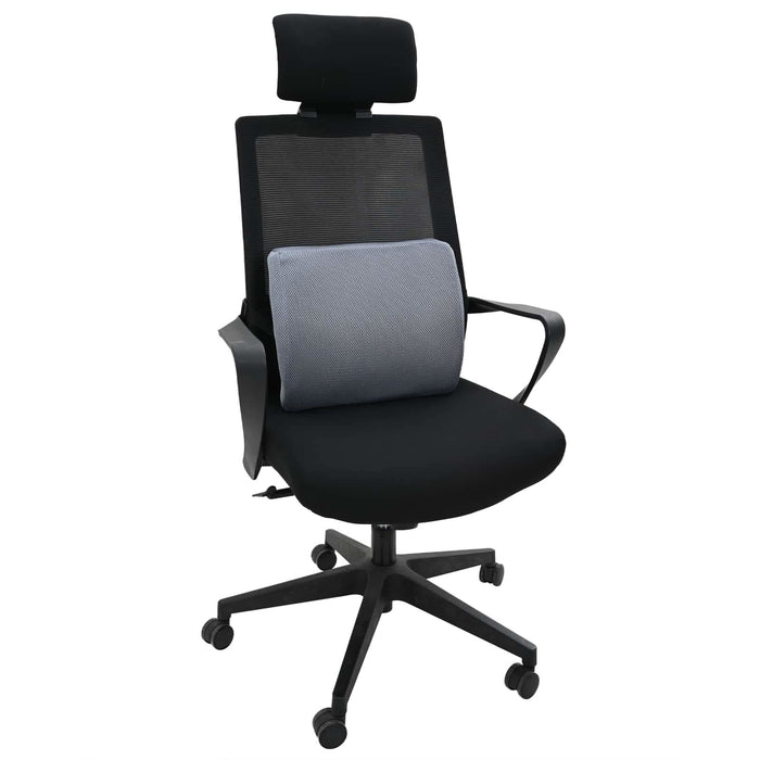 Perna pentru spate cu pernă Gri 36 x 30 x 12 cm Cu plasă - WALTI WALTI