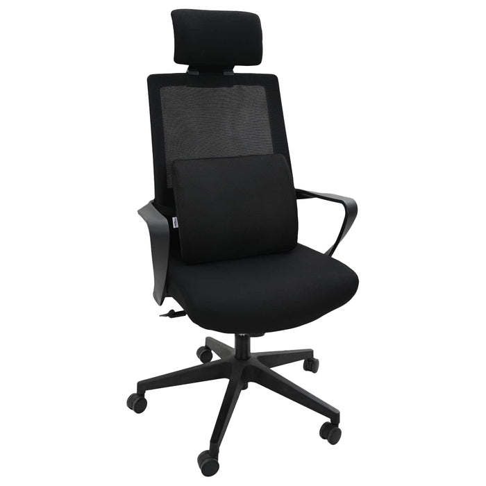 Perna pentru spate cu pernă Negru 35,5 x 30 x 12 cm Cu plasă - WALTI WALTI
