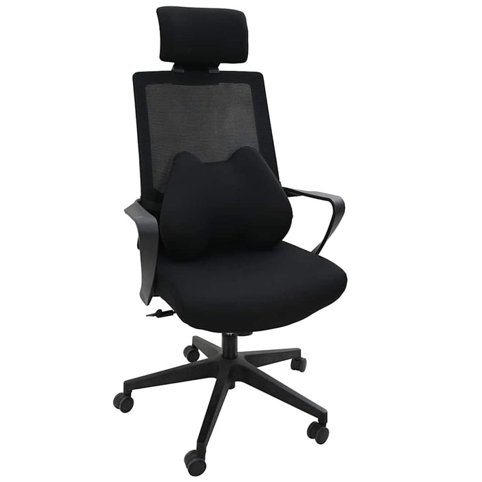 Perna pentru spate cu pernă Negru 40 x 32 x 13 cm Poliester - WALTI WALTI