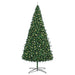 Brad de Crăciun cu lumini decorative cu coarde Verde 400 cm PVC - WALTI WALTI