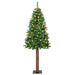 Brad de Crăciun subțire Verde 72 x 72 x 180 cm PVC - WALTI WALTI