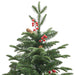  WALTI