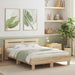 Cadru de pat cu led Sonoma 137 x 190 cm Lemn compozit - WALTI WALTI