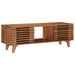 Cabinet TV cu depozitare cu ușă natural 105 x 30 x 35 cm - WALTI WALTI